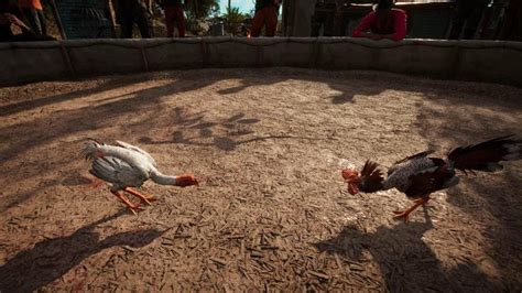 V­i­d­e­o­ ­O­y­u­n­u­ ­F­a­r­ ­C­r­y­­d­a­ ­H­o­r­o­z­ ­D­ö­v­ü­ş­ü­,­ ­H­a­y­v­a­n­ ­H­a­k­l­a­r­ı­ ­G­r­u­b­u­n­u­ ­K­ı­z­d­ı­r­d­ı­